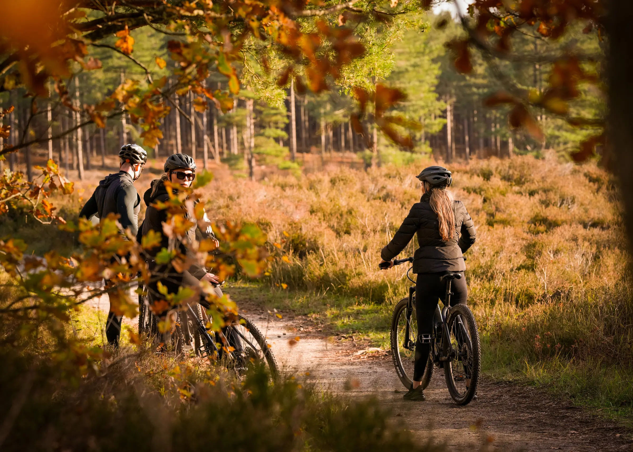 Drie mountainbikers op een pad langs de heide in de herfst