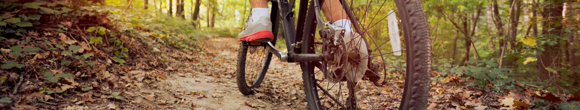 Mountainbike huren in Schoorl